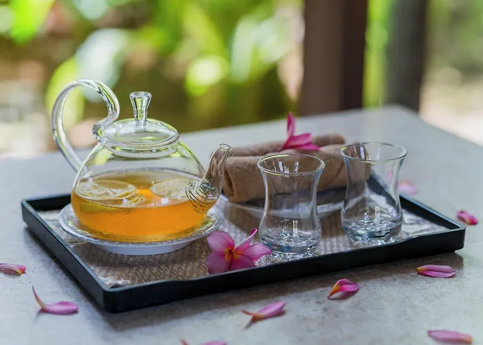リゾート Solea Palm Mactan マクタン